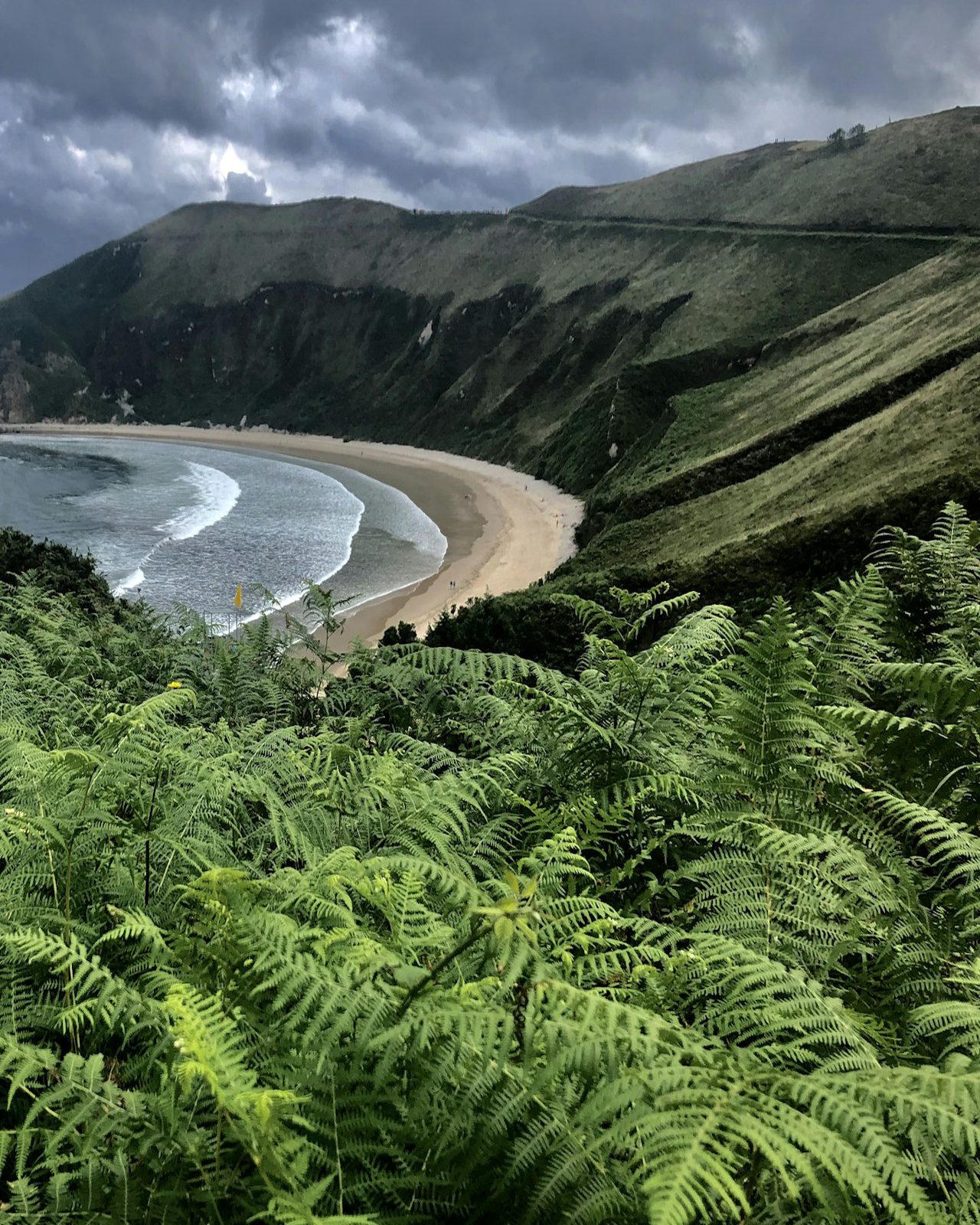 Green hills and ferns above a wide Asturian beach